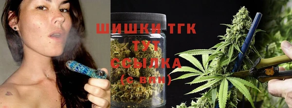 дживик Абинск
